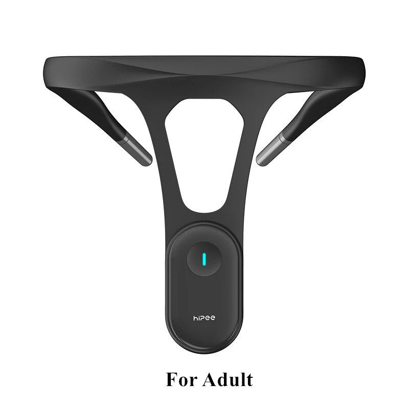 Smart Posture Correction Training Device